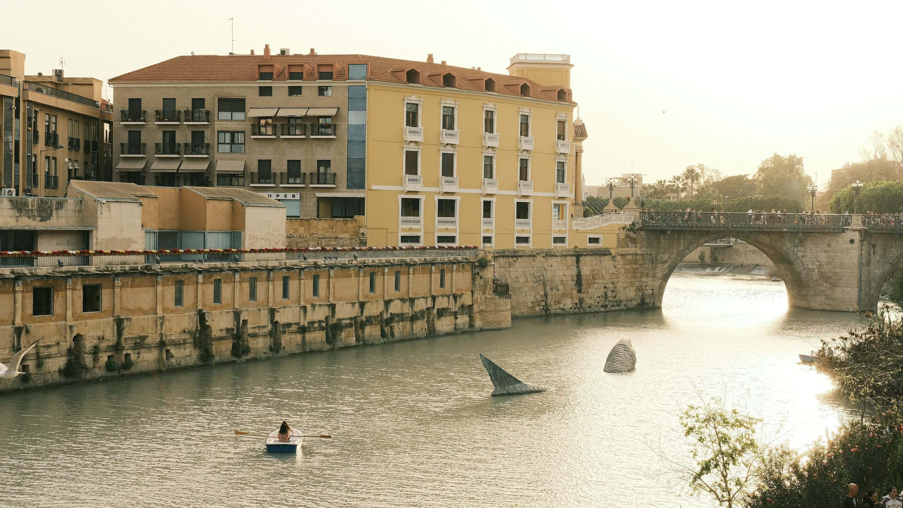 Río Segura a su paso por Murcia